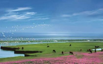 首批中國(guó)生態(tài)旅游十大示范景區(qū)之鄱陽(yáng)湖國(guó)家濕地公園