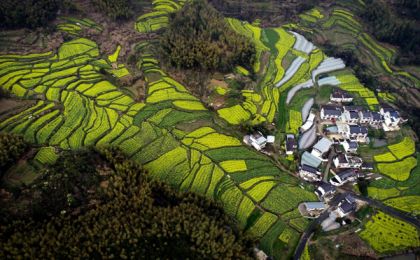 中國社會科學院包曉斌：以綠色發(fā)展推動農(nóng)業(yè)現(xiàn)代化