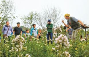 堅定走在培育綠色公民的道路上