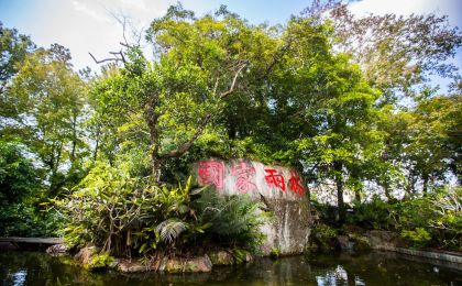 國(guó)家公園生態(tài)系統(tǒng)質(zhì)量穩(wěn)步提升 旗艦物種數(shù)量持續(xù)增長(zhǎng)