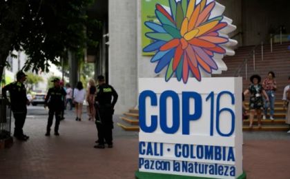 “COP16是對各國履行生物多樣性保護(hù)承諾的一次校驗”