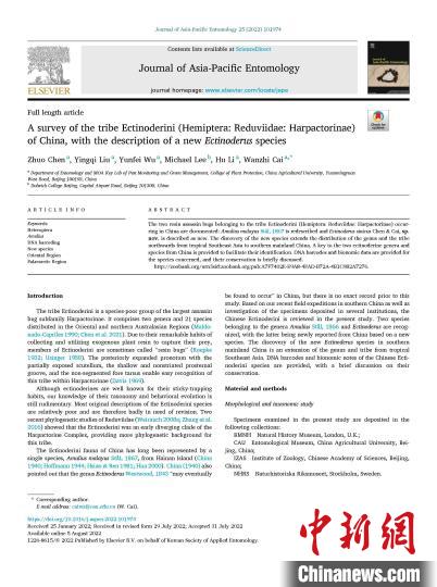 中華粘獵蝽相關(guān)論文在《Journal of Asia-Pacific Entomology》發(fā)表?！↑S海供圖